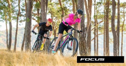 Focus 29R 