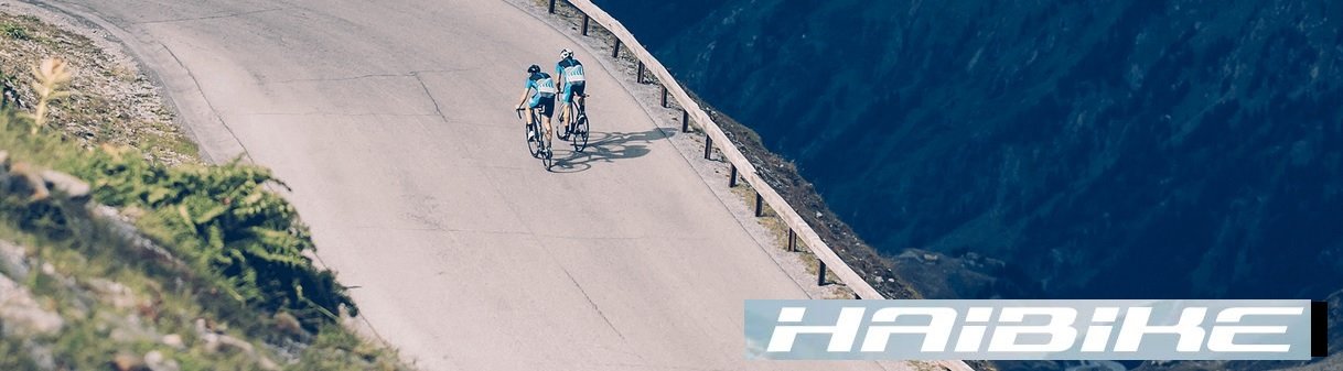 Haibike