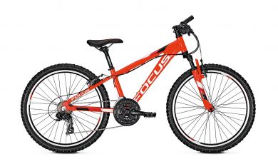 Focus Raven Rookie 24R Kinderfahrrad 2019