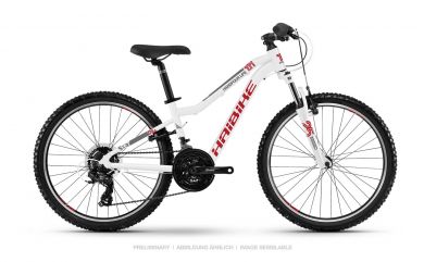 Haibike SEET HardFour Life 1.0 Kinder & Jugend Fahrrad 2019