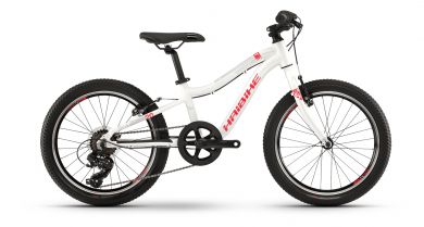 Haibike SEET Greedy Life 20R Kinder Fahrrad 2020