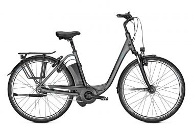 Raleigh Dover 8 HS 14,5 Ah Impulse Elektro Fahrrad 2019