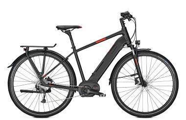 Raleigh Kent 9 Bosch Elektro Fahrrad 2019