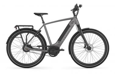 Gazelle Ultimate C380 HMB Bosch Elektro Fahrrad 2021