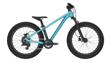 Giant STP 20 FS Kinder Fahrrad 