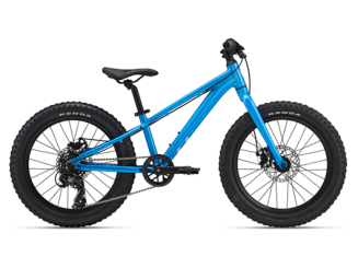 Liv STP 20 Kinder Fahrrad 