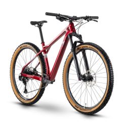 R Raymon HardRay 7.0 Mountain Bike 