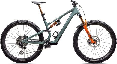 Specialized S-Works Stumpjumper 15 LTD Fullsuspension Mountain Bike 