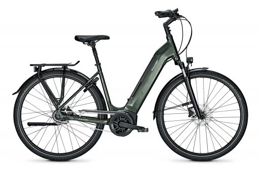 Raleigh Bristol 8 R Bosch Elektro Fahrrad 2021 Deepgreen