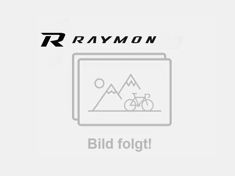 R Raymon CrossRay FS E 6.0 ++ günstig 