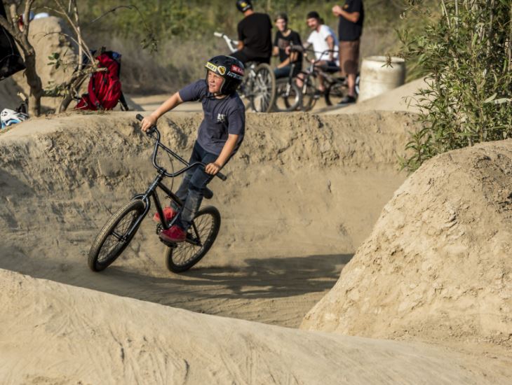 se racing mini ripper bmx