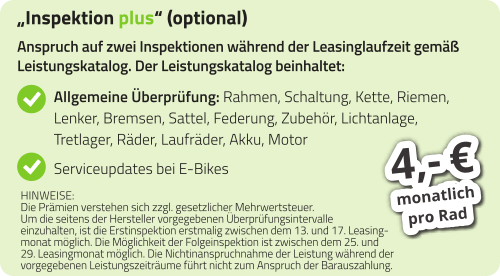 Inspektion Plus (optional)